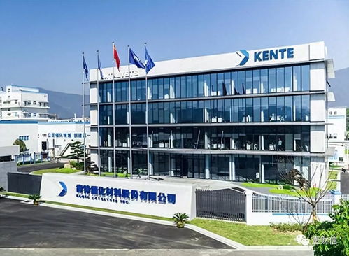 肯特催化戰(zhàn)略失衡 重銷售管理輕研發(fā)，技術(shù)開發(fā)人員薪酬雙標(biāo)引關(guān)注